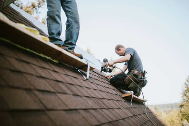 Roof Gutter Cleaning in Avenal, CA