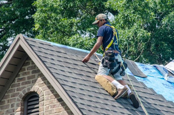 Best Storm Damage Roof Repair  in Avenal, CA